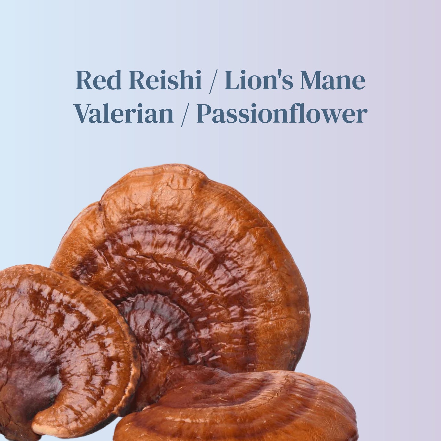 Mushroom Extract - Sleep Blend - launching soon!