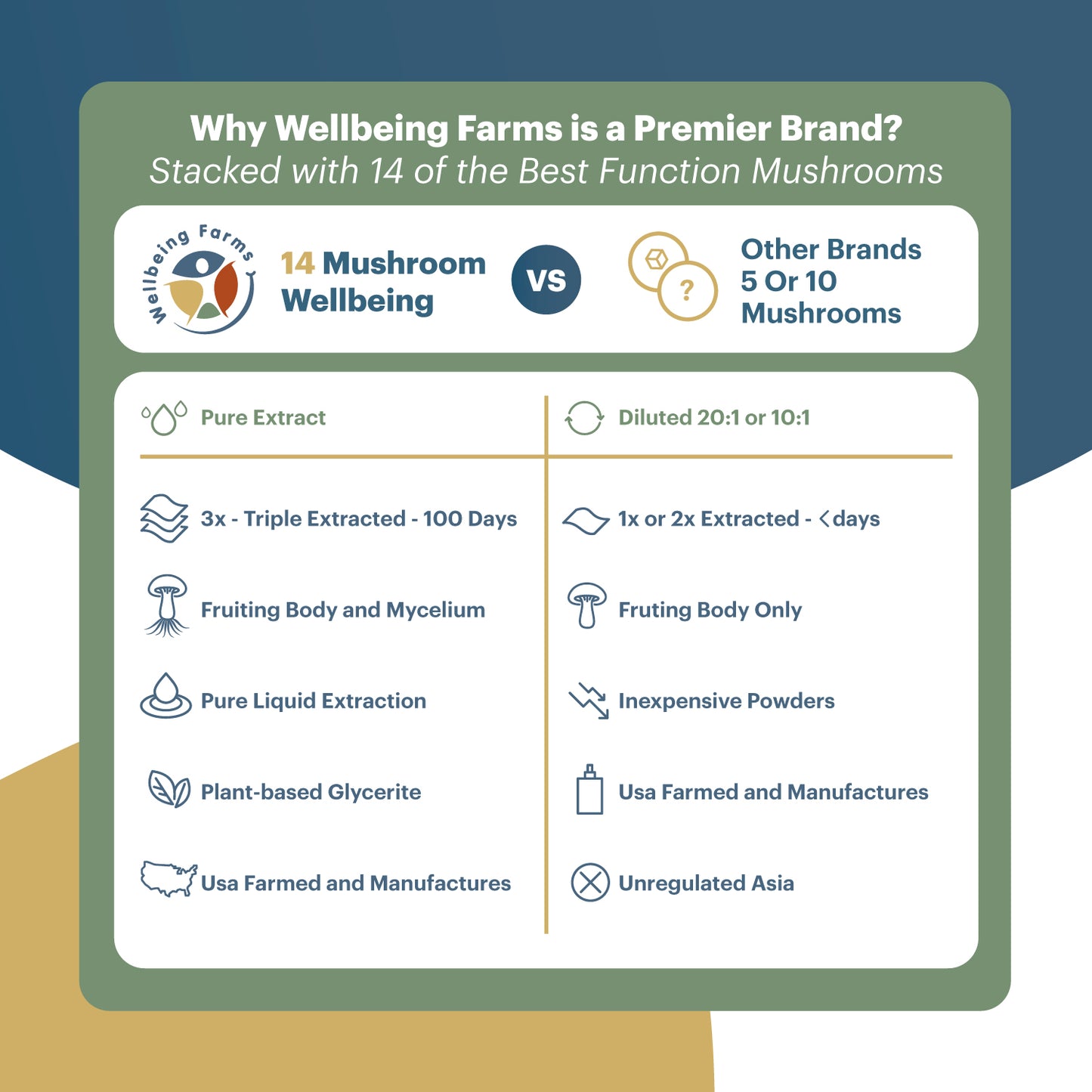 Triple-Extracted Wellbeing Blend – 14 Functional Mushrooms