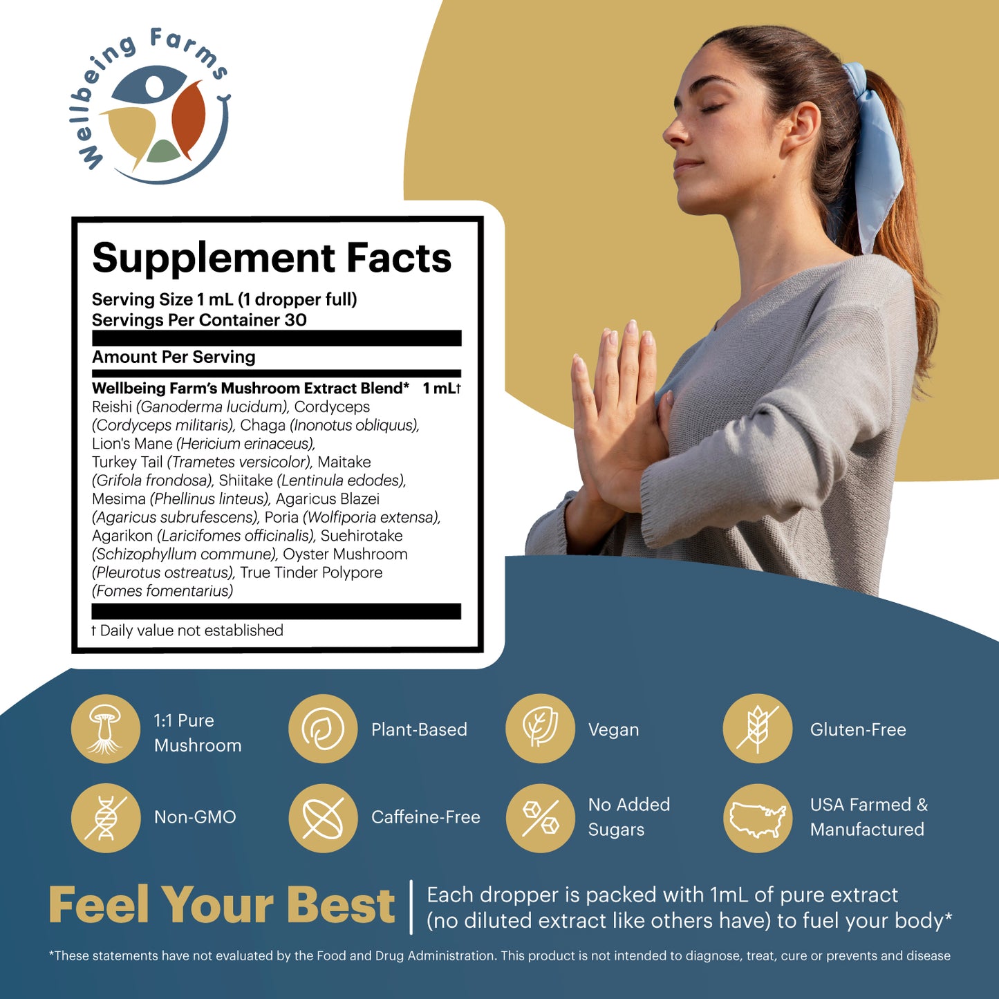 Triple-Extracted Wellbeing Blend – 14 Functional Mushrooms