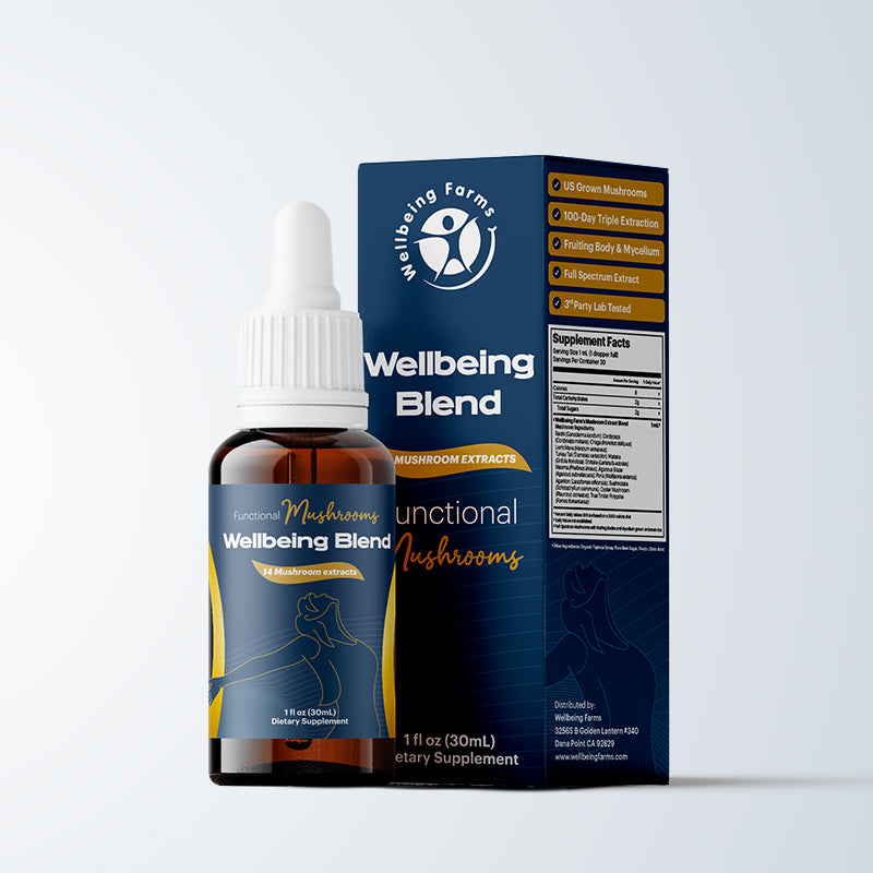 Triple-Extracted Wellbeing Blend – 14 Functional Mushrooms