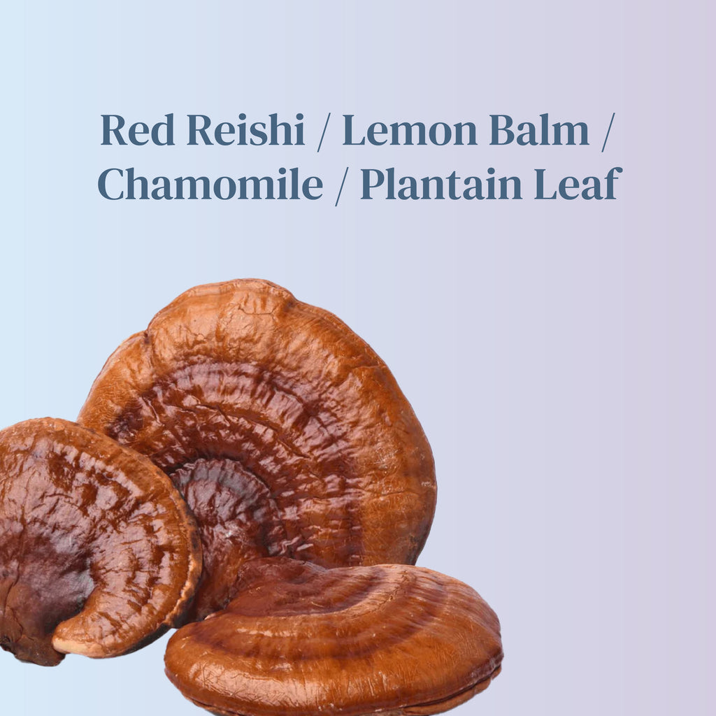 Mushroom Gummies - Sleep Blend