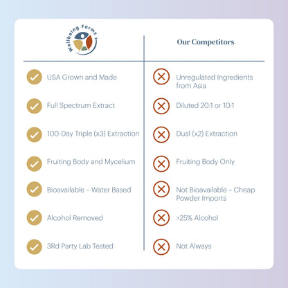 Mushroom Extract - Focus Blend