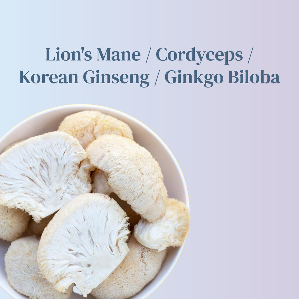 Mushroom Extract - Focus Blend