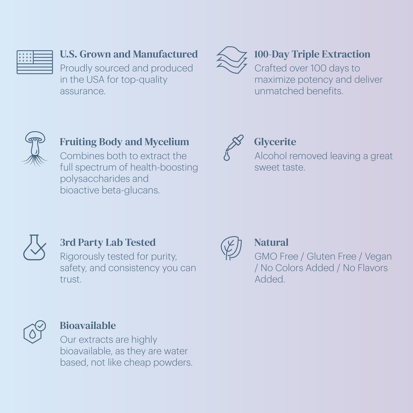 Mushroom Extract - Focus Blend