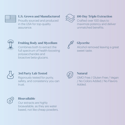 Mushroom Extract - Focus Blend