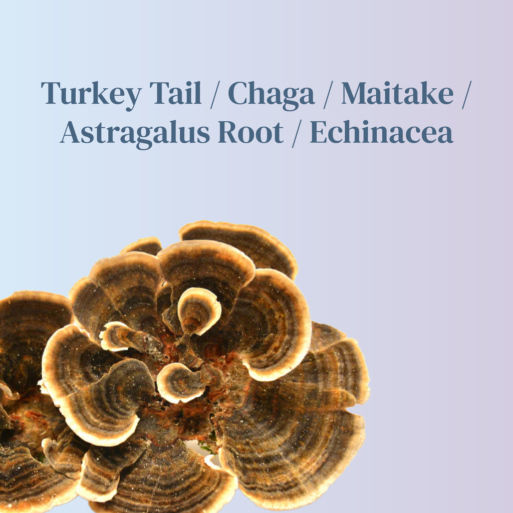 Mushroom Extract - Immunity Blend