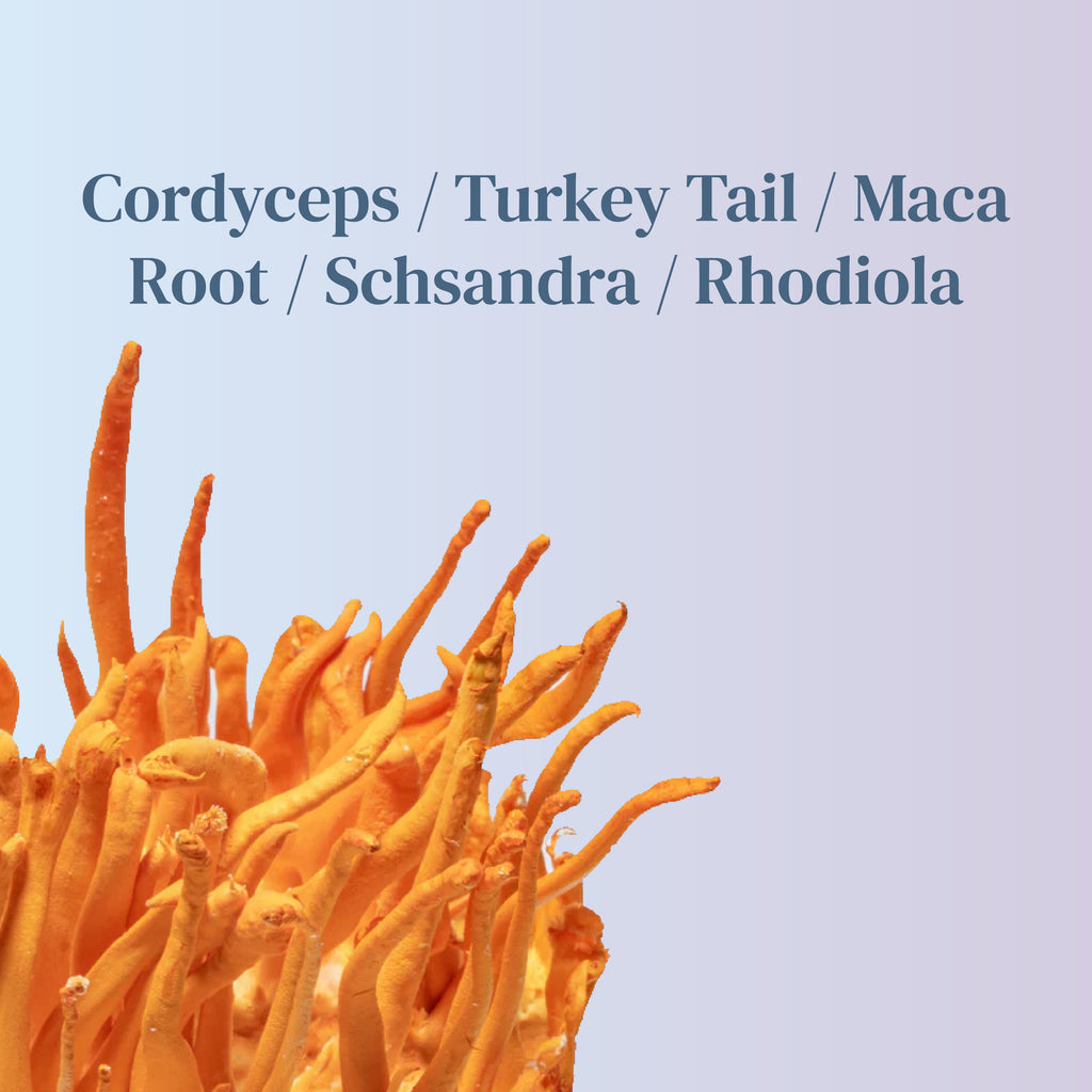 Mushroom Extract - Energy Blend - launching soon!