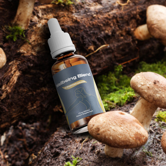 Wellbeing Blend – 14 Functional Mushrooms
