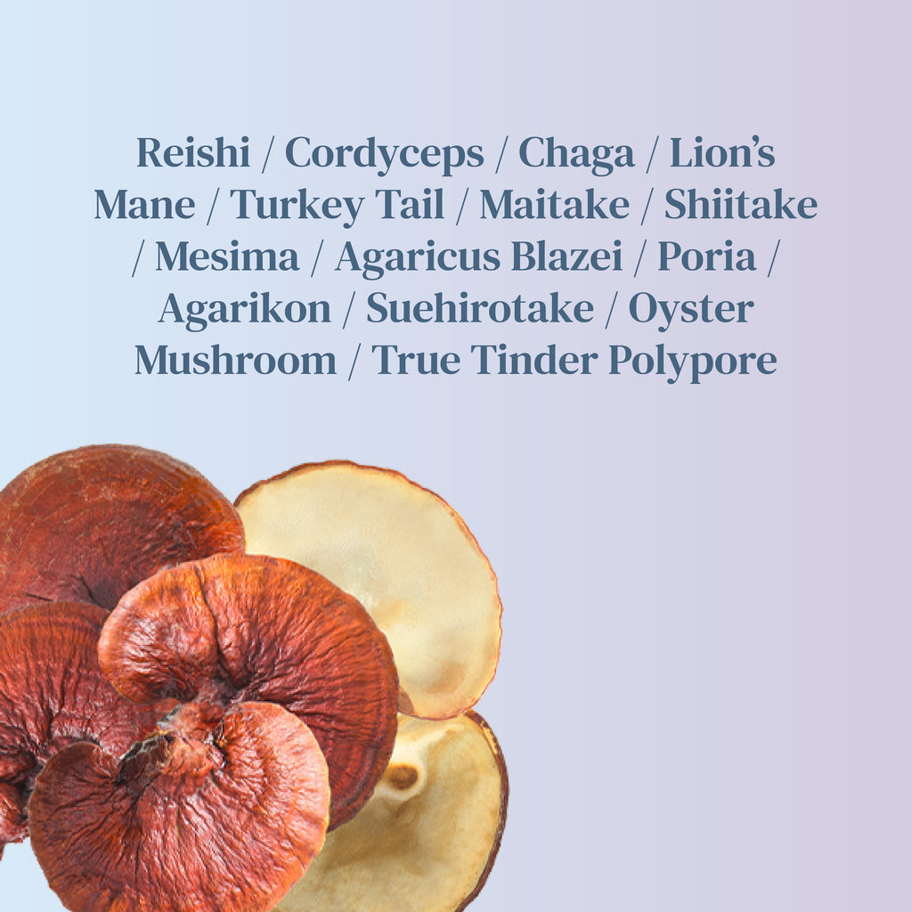 14 Mushrooms Extract - Wellbeing Blend