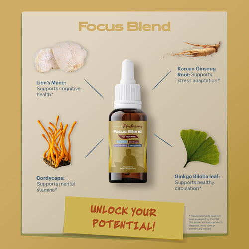 Focus Blend mushroom extract ingredients: Lion's Mane, Korean Ginseng Root, Cordyceps and Ginkgo Biloba leaf