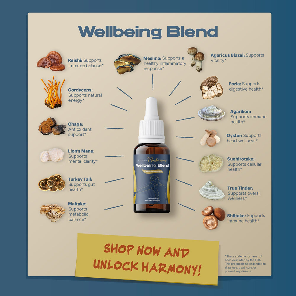 Wellbeing Blend mushroom extract with its 14 mushrooms, including Reishi, Chaga, Lion's Mane, Cordyceps and Turkey Tail